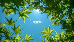 春天的景色