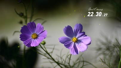 4k简约唯美紫色小花