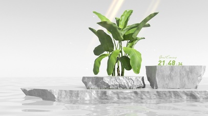 水面清新护眼绿植