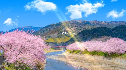 4K唯美治愈日系河流樱花