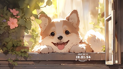 4k和狗狗一起玩耍吧