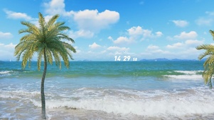 4k海边椰子树