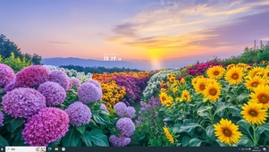 晚霞 花田