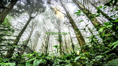 6K 超清治愈 【元气森林】