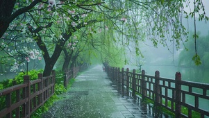 雨季