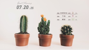 4k高清极简ins风格系列