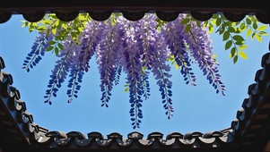 清新护眼屋檐春景