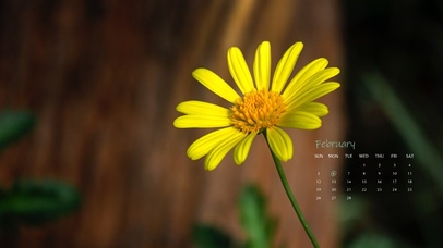 4k简约清新系列