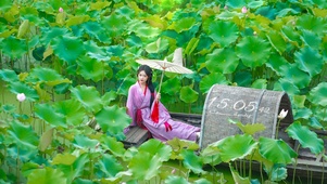 古装荷花深处少女