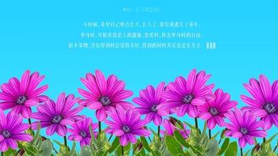 4k高清治愈紫色小花