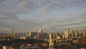 都市阳光
