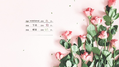 4k清新花草桌面