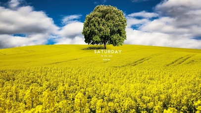 漫山遍野油菜花