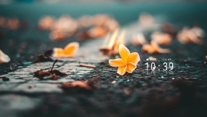 温馨的花朵