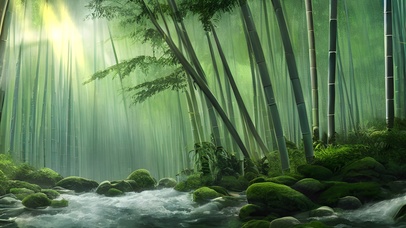 竹林清泉石上流