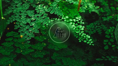 6K 超清护眼治愈 【绿】