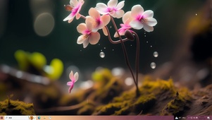 花朵