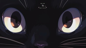 黑猫