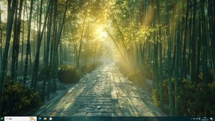 竹林小路