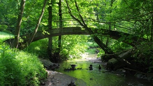 小桥流水绿色心情