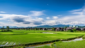 护眼乡村壁纸