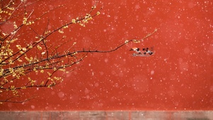 冬季古城小雪纷纷