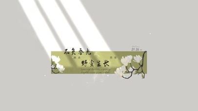 不负春光 野蛮生长