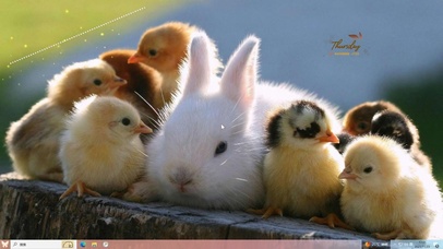 好伙伴们主题壁纸