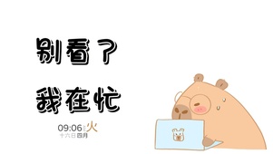 别看了 我在忙哦