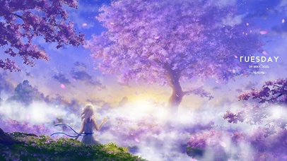 4K 雾海，花海（带真实时间）