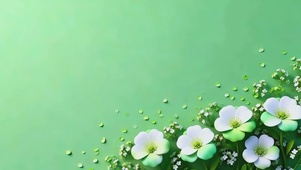 唯美治愈小白花