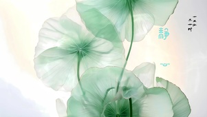 静心莲花