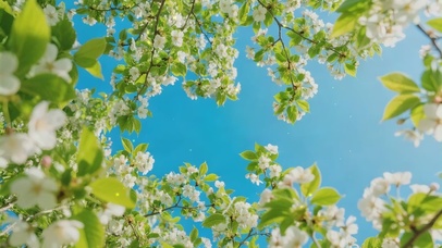 繁花满枝，风里藏春