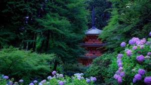 4k高清公园美景