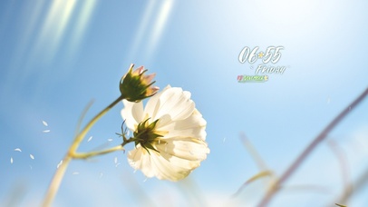 4k高清治愈风景系列