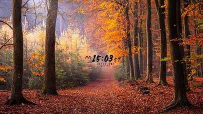 停车坐爱枫林晚~