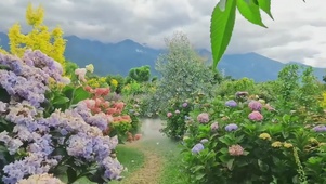 花世界