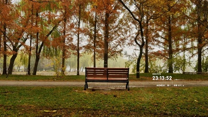 4k 治愈雨天秋林小路