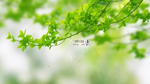 春天绿植