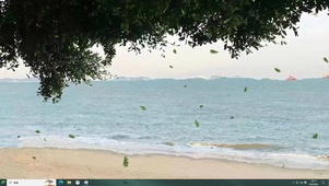 海岸线  主题