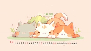 慵懒可爱猫咪