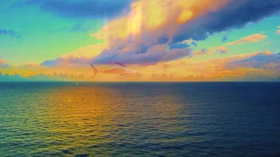 大海 日出 鲸鱼 4K壁纸