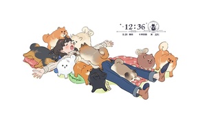 可爱女孩和狗狗们