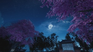 樱花月夜