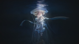 海月流裳（搬运）