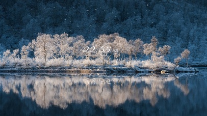 4K治愈舒适雪天森林
