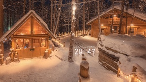 森林下雪夜晚