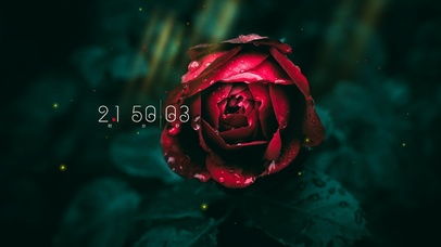 简约小清新花草桌面