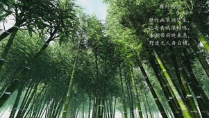 竹林