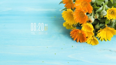 简约清新花草植物壁纸